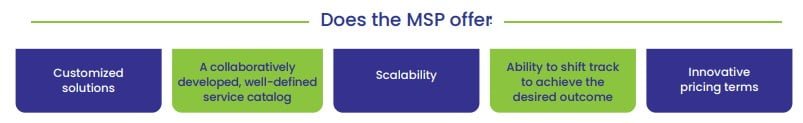 What dose the MSP offer